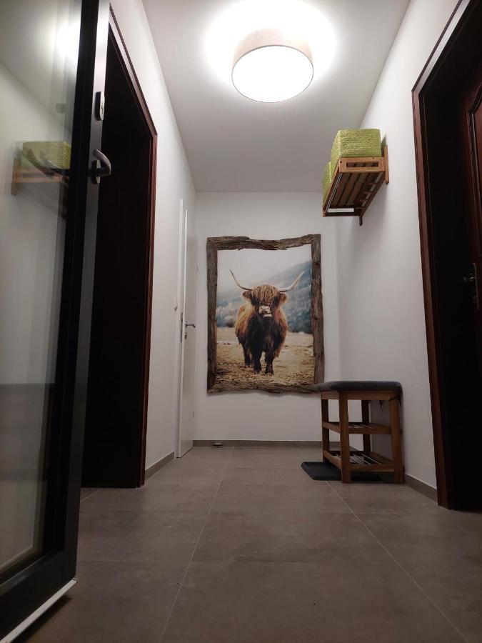 Dolomitenhome Apartments Patriasdorf Kültér fotó